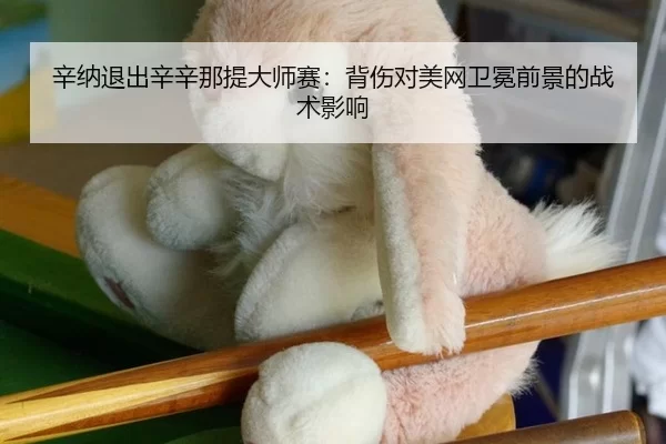 辛纳退出辛辛那提大师赛：背伤对美网卫冕前景的战术影响